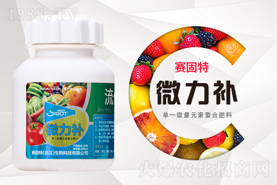 ���ι���С�~���S�~����������������