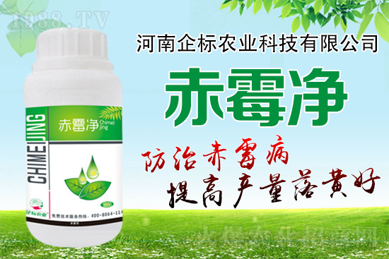 緊急提醒：未來(lái)十天是小麥赤霉病防治關(guān)鍵期！務(wù)必抓??！