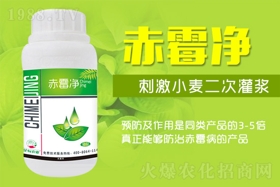 緊急提醒：未來(lái)十天是小麥赤霉病防治關(guān)鍵期！務(wù)必抓??！