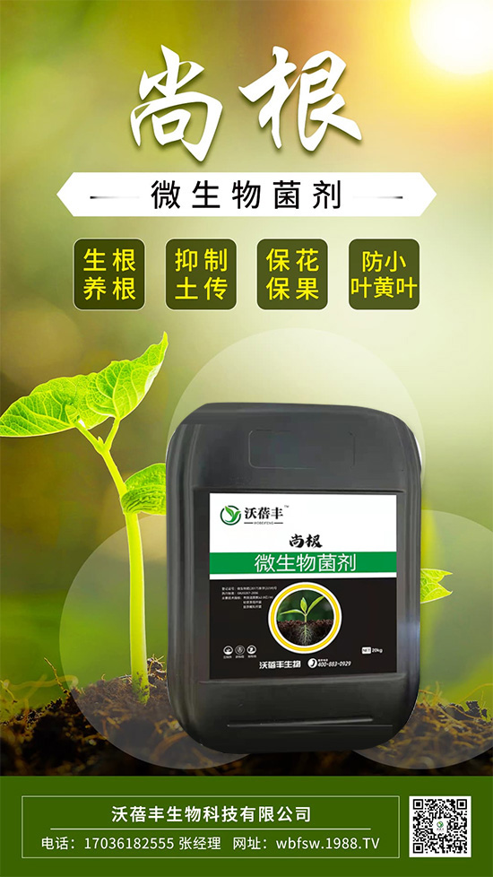 ��ô����׌���������Ѹ��أ��@����׌��������������