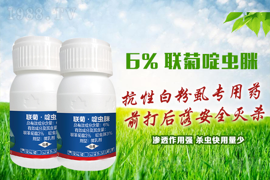 ���԰׷�ʭ�y�����y�����@����ˎ�x���p�������x��