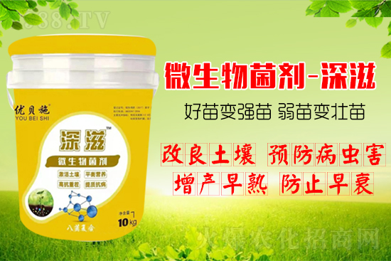 ������α��l(f��)ʽ�������������B(y��ng)�������������