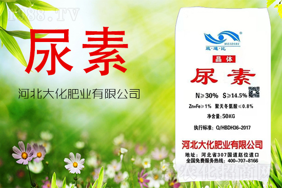 ���ص����ܲ������~�������ô����