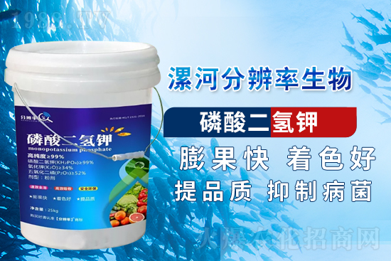 �~��ʵć�ʩ�`�^(q��)���@���c�e������