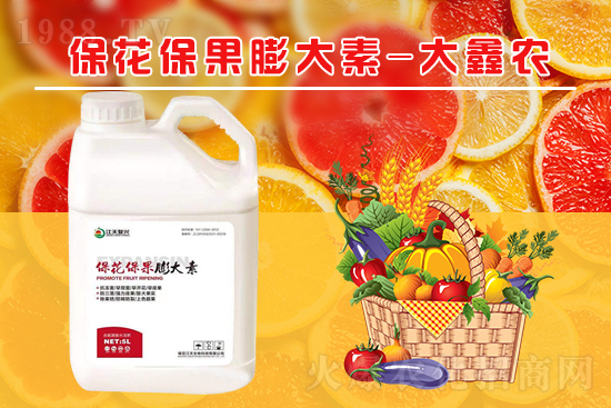 �ļ���������ٲ�������α��������