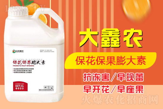 �ļ���������ٲ�������α������