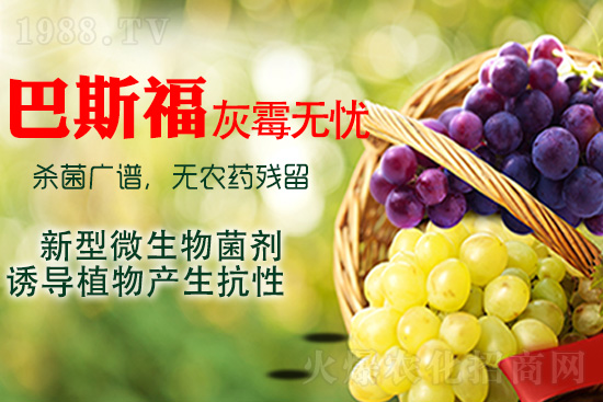 ���ѻ�ù��ԓ��ν�Q����ù����ˎ���h��