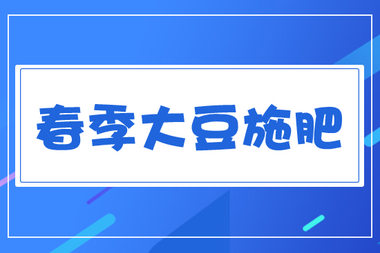 ������ʩ��