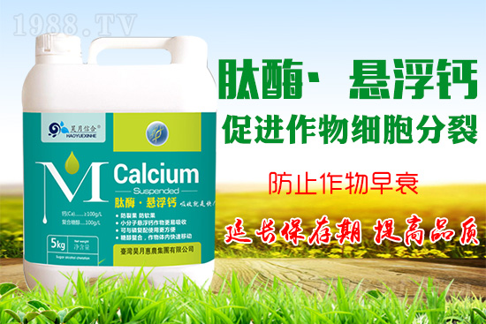 �O���仨���a(b��)�}���P(gu��n)�I���O���a(b��)�}���Ă��`�^(q��)��֪���᣿