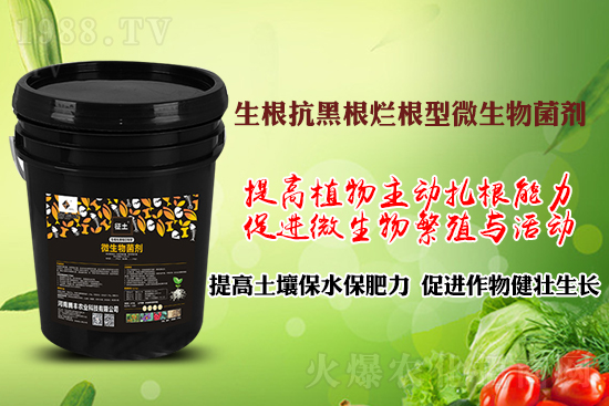 ����ڸ��������S�������l�l(f��)���á������p�ɽ�Q�����f�Nֲ����������