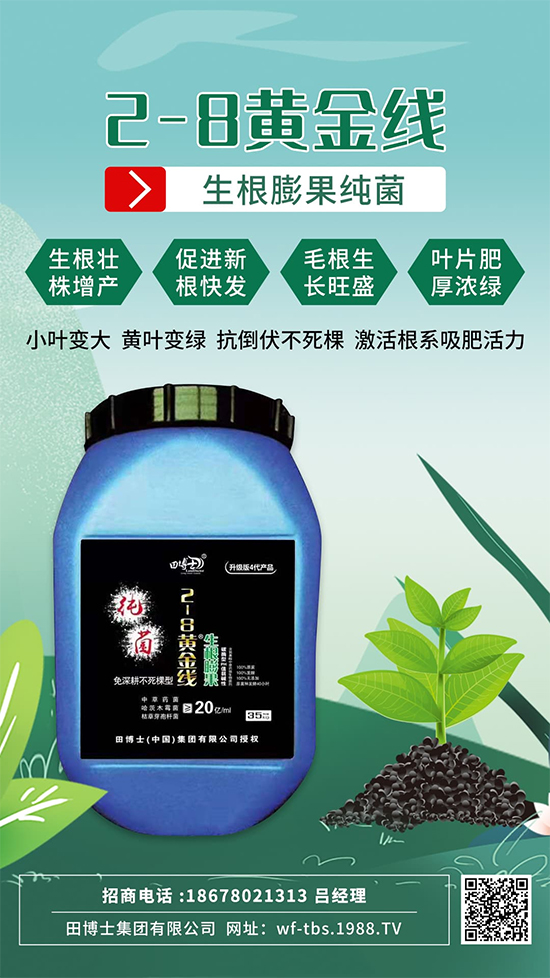 ���Ƿʵ������f�����L����ϵ�����ﱬ�l(f��)����ԇԇ�@һ��! 