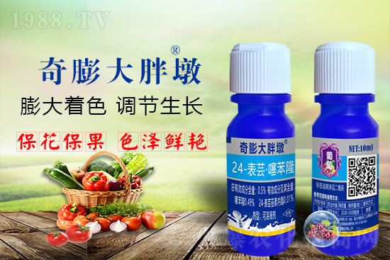     ������Ҫ�߮a(ch��n)��������P(gu��n)�I��������(sh��)���졢�D(zhu��n)ɫ�����u��ѣ����ڵĮa(ch��n)����Ʒ�|(zh��)����������(l��i)�S��Ĺ��r(n��ng)���r(n��ng)������ӳ�Լҵ���������ס���������������������������������ܛ���չ�����r�l���l(f��)����