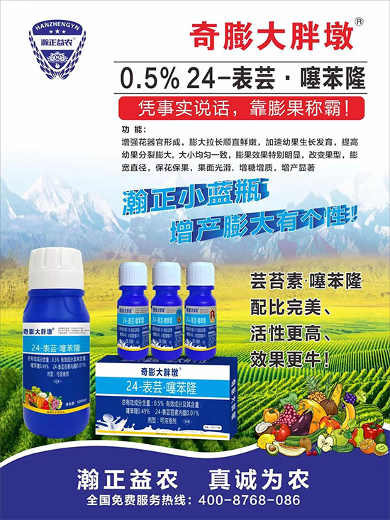     ������Ҫ�߮a(ch��n)��������P(gu��n)�I��������(sh��)�������D(zhu��n)ɫ�á��u��������ڵĮa(ch��n)����Ʒ�|(zh��)���С�����(l��i)�S��Ĺ��r(n��ng)���r(n��ng)������ӳ�Լҵ���������ס���������������������������������ܛ���չ�����r�l���l(f��)����