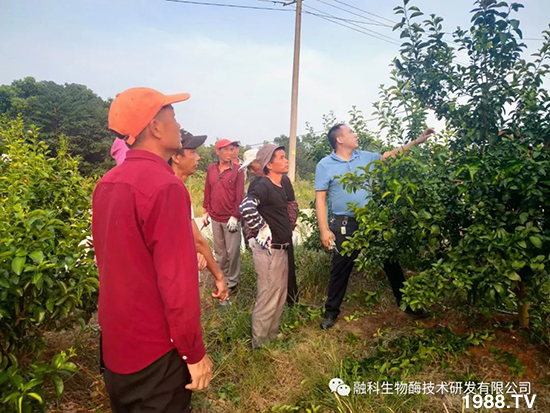 ���M(j��n)���g���^���������ٮa(ch��n)�I(y��)