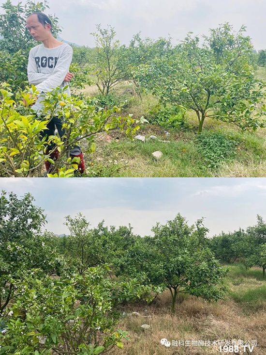 ���M(j��n)���g���^���������ٮa(ch��n)�I(y��)