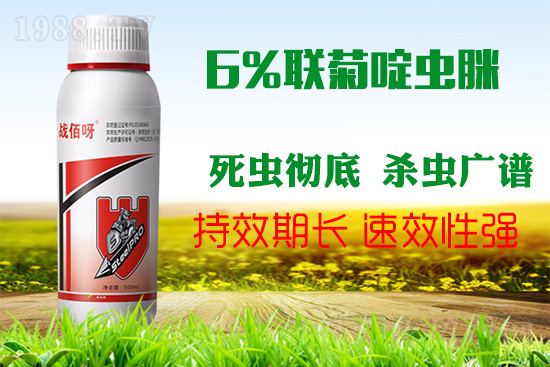 �������x���l(f��)�l��������ע����ǰ�������ׂ�(g��)��(du��)���p�ɸ㶨��