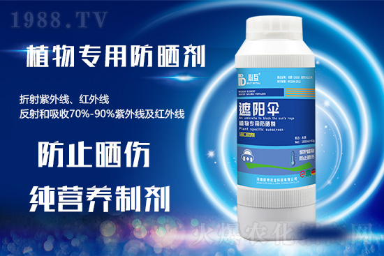 �ߜ������u������������E�[���쿴�������ˆ�? 