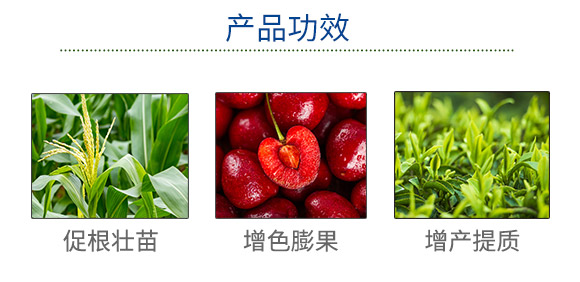 田博士集團有限公司(873702)_03