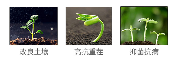 田博士集團有限公司(873702)_04