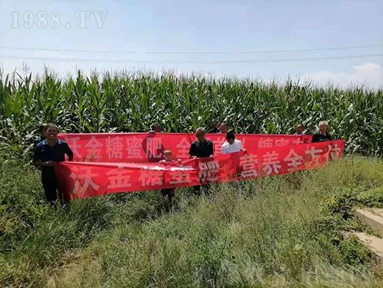     �@�����۷��r�YȦ������ԭ����Ȼ���ͳɱ��߷�Ч�_��(chu��ng)�ߣ�