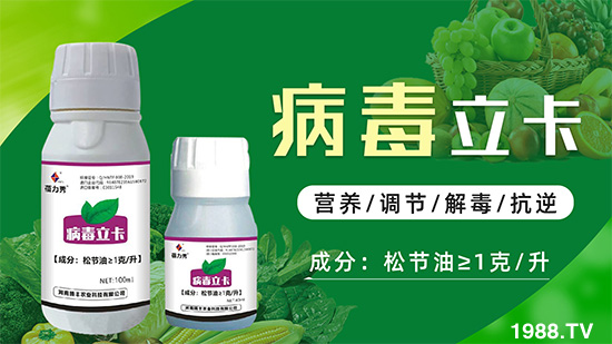 �ƽ�ֲ�ﲡ�������y�}�����ٻ֏�(f��)���C(j��)���@��(g��)ˎ���Ͼ͹��ã�