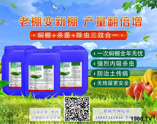 �֠���(y��u)����Ƽ��������������޹�˾13