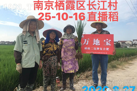 ˮ�����Y���Ì��a(ch��n)���ж��Ӱ������Mˮ�����Y��ô����