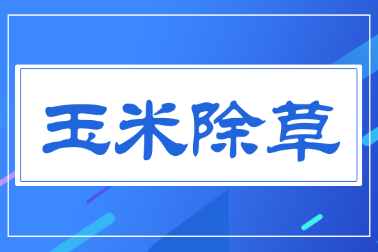 ���׳���