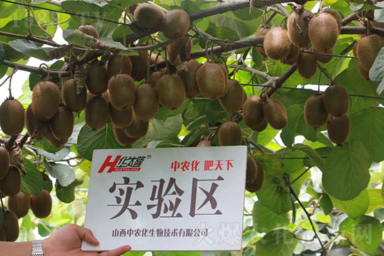 �J����������c(di��n)����Щ���J����������ôʩ