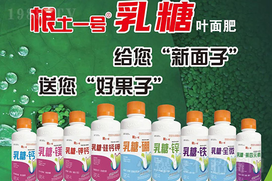 �J����������c(di��n)����Щ���J����������ôʩ