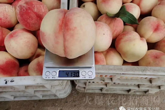 �Ҙ������ô�k���Ҙ����ԭ���A(y��)������