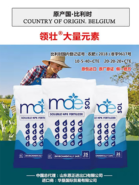 交500頂2000,高端進口肥“性價比霸主”