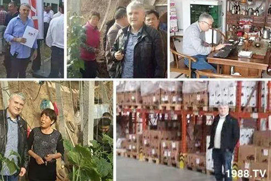 交500頂2000,高端進口肥“性價比霸主”