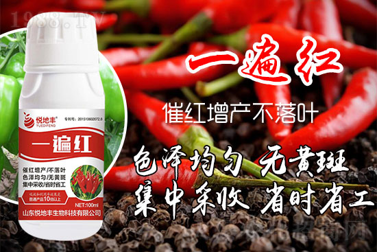 辣椒為什么要增紅？辣椒增紅上色哪個牌子好？