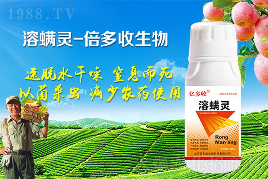 �ļ������~�����l(f��)��ô�k�������~����(y��ng)ԓ���ӷ��Σ�