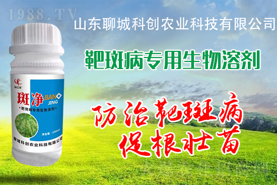 �S�ϰа߲�Σ��������������δ�ʩ����Щ��