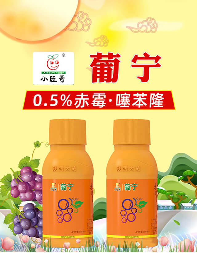 �ό�-�������_01