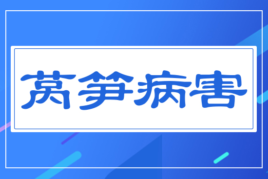 ���n�S����