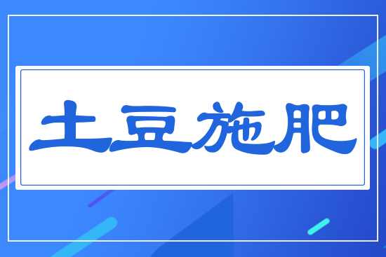 ����ʩ��