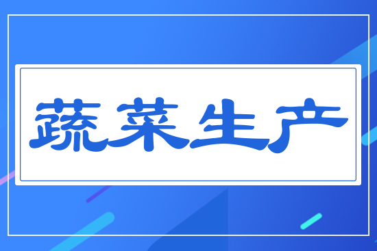 蔬菜生產