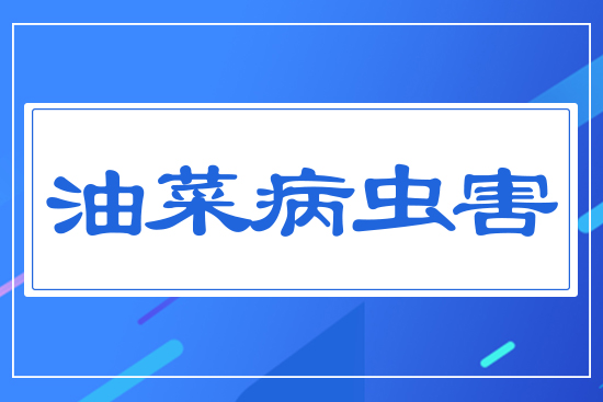 �Ͳ˲��x(ch��ng)��