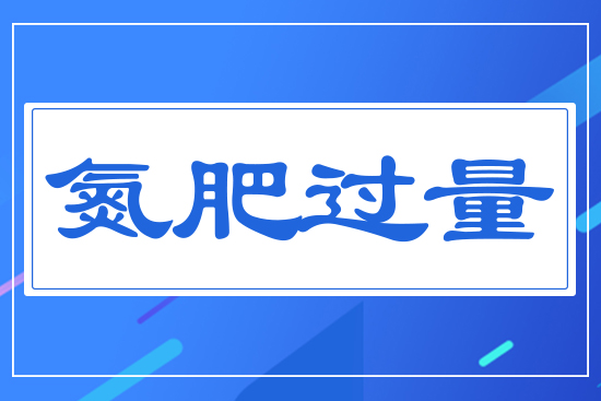 �����^(gu��)��