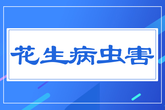 �������x(ch��ng)��