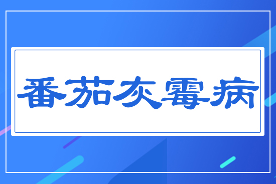 ���ѻ�ù��