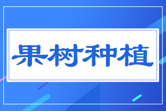 ����(sh��)�Nֲ