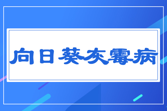 ���տ���ù��