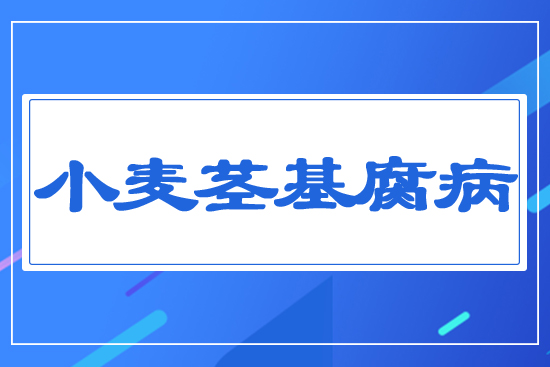 С���o������