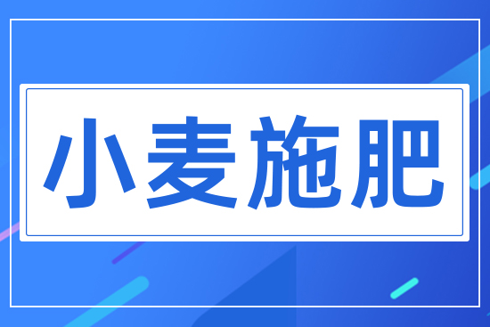 С��ʩ��