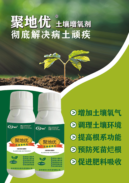 ΢�ňDƬ_20250419085847