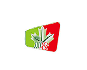 �����м����r(n��ng)�r(n��ng)�I(y��)���g(sh��)�l(f��)չ���޹�˾